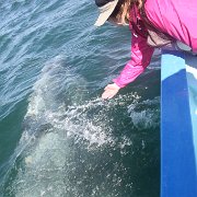 IMG 0001 2 (290)